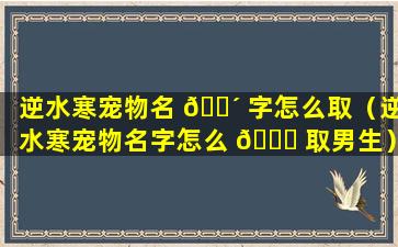 逆水寒宠物名 🐴 字怎么取（逆水寒宠物名字怎么 🐎 取男生）